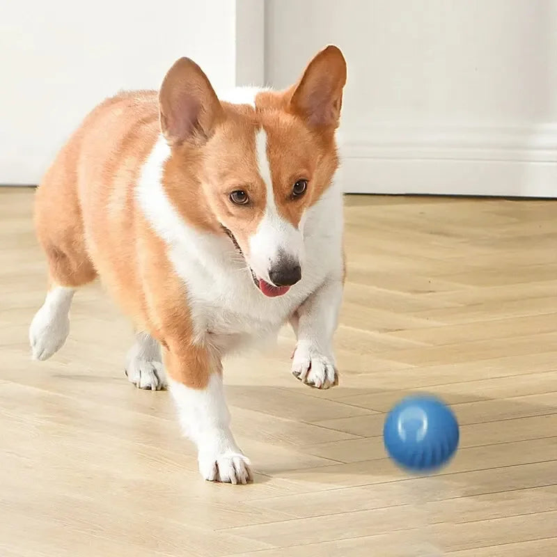 Dog Toys Intelligent Gravity