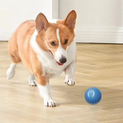 Dog Toys Intelligent Gravity
