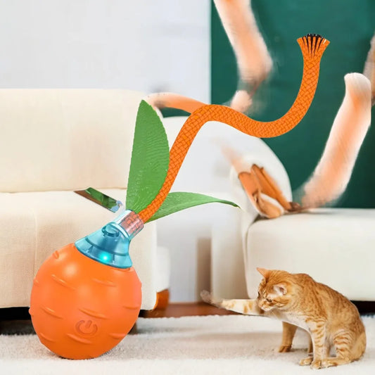 Cat Toys Ball for Indoor Cats
