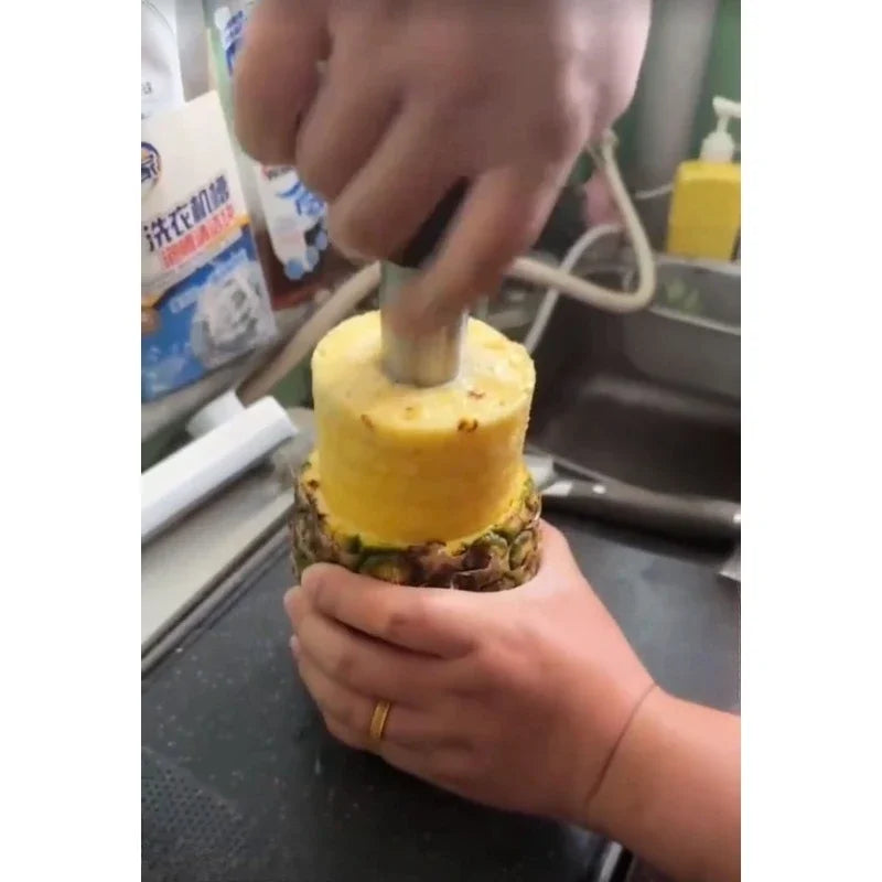 Stainless Steel Pineapple