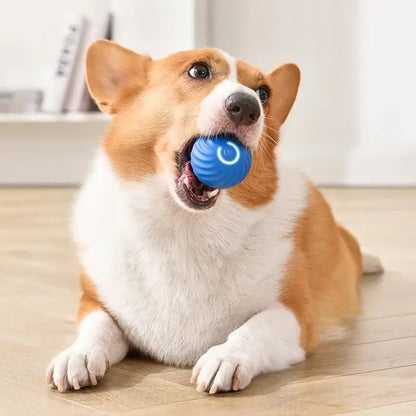 Dog Toys Intelligent Gravity