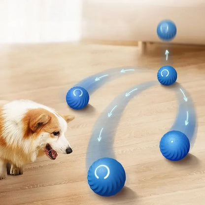 Dog Toys Intelligent Gravity