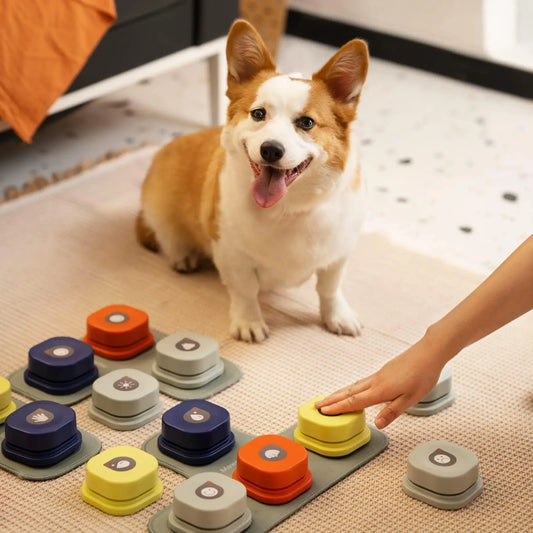 Dog Button Record Talking Pet Communication